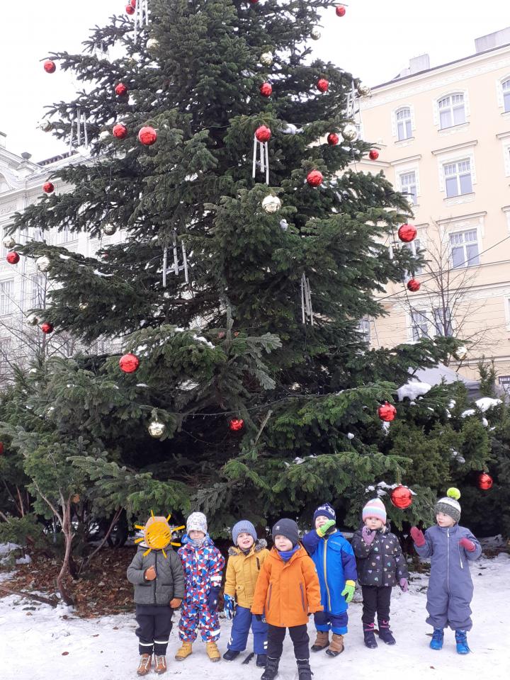 Prosinec - Advent a Vánoce - Bobříci milují je velice
